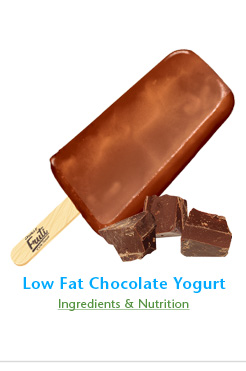Fruti - Low fat chocolate yogurt frozen bar